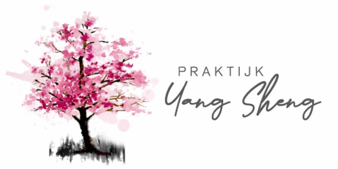 Praktijk Yang Sheng