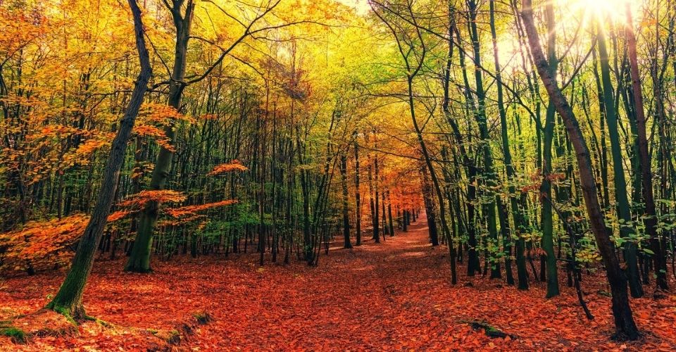 Fit de herfst door met deze tips